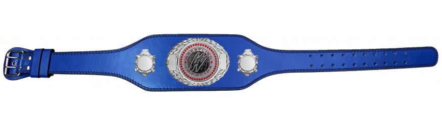 WRESTLING CHAMPIONSHIP BELT-BUD295/S/WRESTGEMS-4 COLOURS